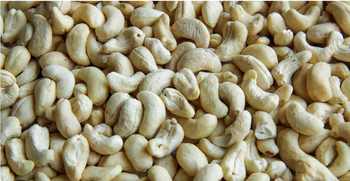 Cashew Nuts Color Natural cream white Taste Natural nutty flavor Form Whole / Kernel / Raw or processed Application Snacks, bakery, food processing, wholesale distribution - BAIYE GENERAL TRADING PTY LTD - South Africa